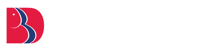 Babu Banarsi Das University